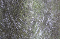 Abergarw fibreglass roof work